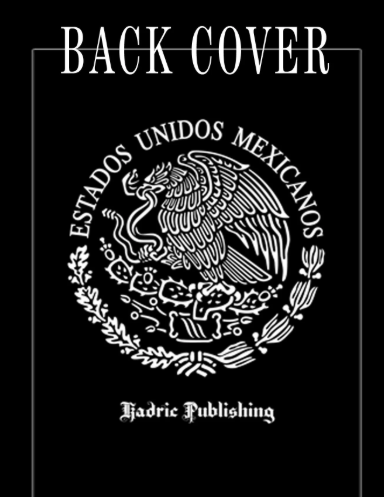 Back cover of Lowrider Girls paperback notebook by Kadric Publishing, featuring colorful artwork and writing space inside.